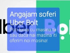 Soferi Uber Bolt